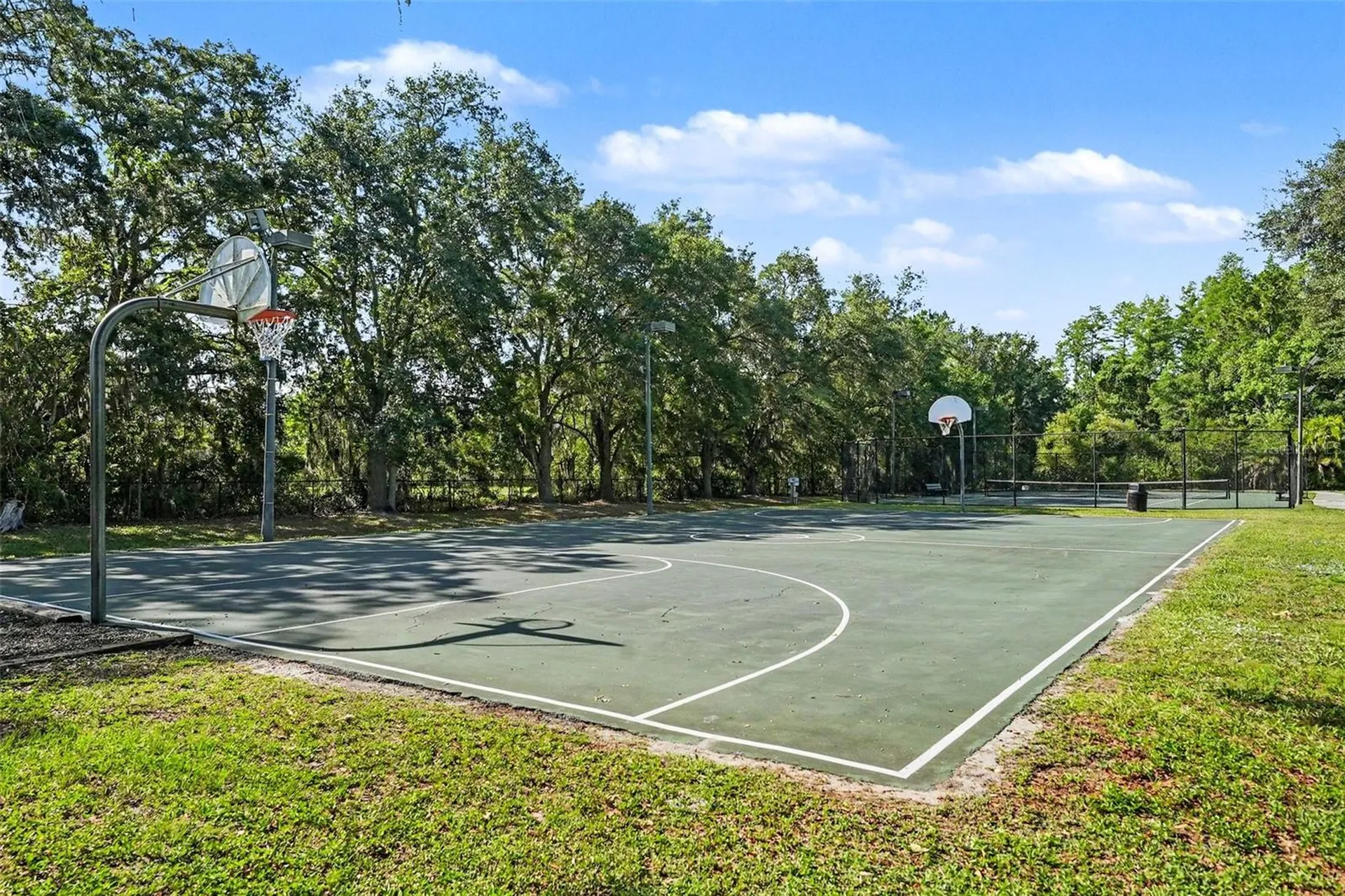14906 Man O War Drive Odessa FL 33556