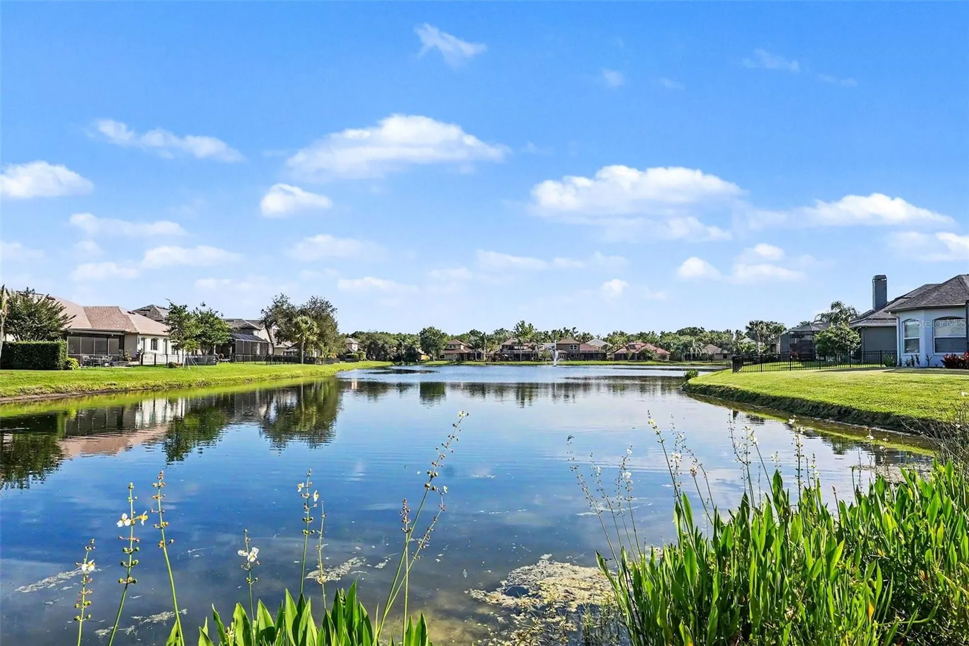 14906 Man O War Drive Odessa FL 33556
