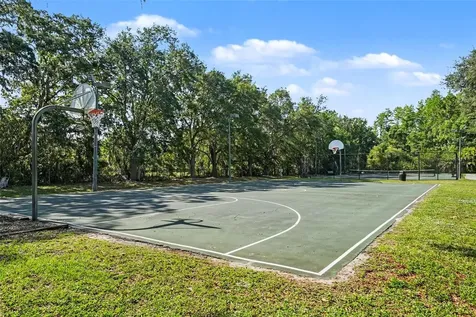 14906 Man O War Drive Odessa FL 33556