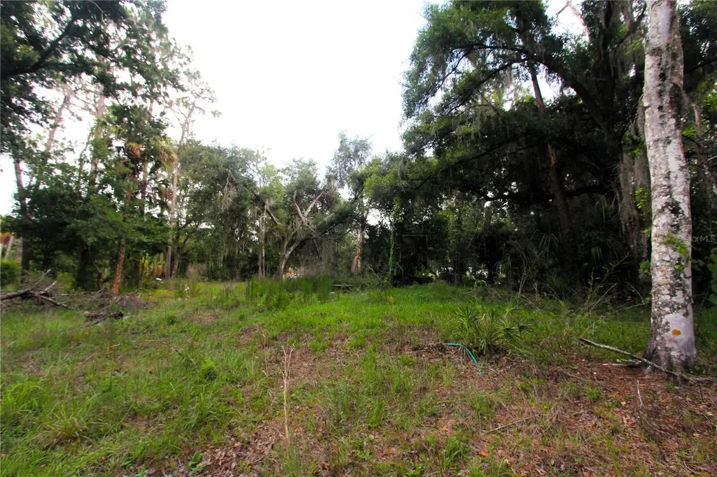 38319 County Line Road Zephyrhills FL 33540