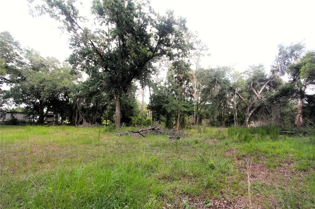 38319 County Line Road Zephyrhills FL 33540