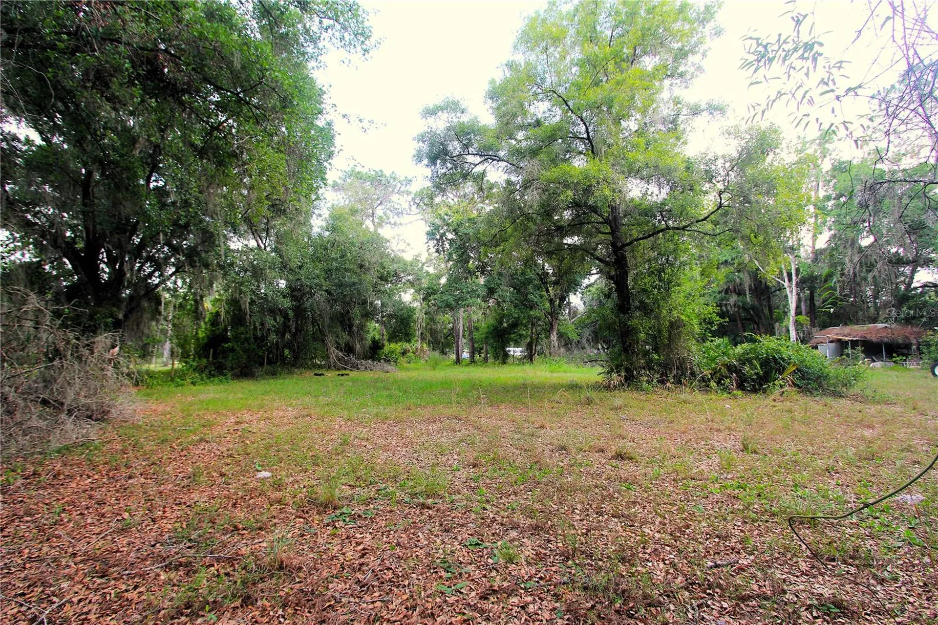 38319 County Line Road Zephyrhills FL 33540