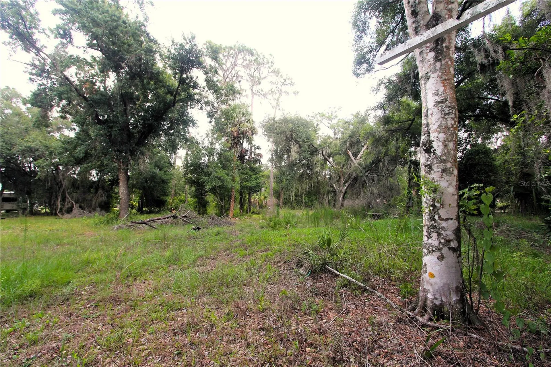 38319 County Line Road Zephyrhills FL 33540