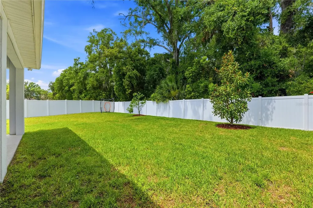 7530 Ashbrooke Pine Loop Odessa FL 33556