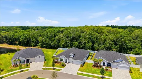 7530 Ashbrooke Pine Loop Odessa FL 33556