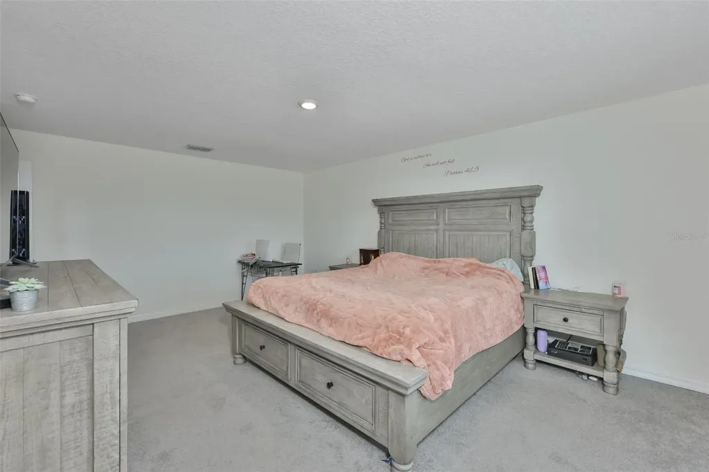 5244 Fiddle Fig Avenue Wimauma FL 33598