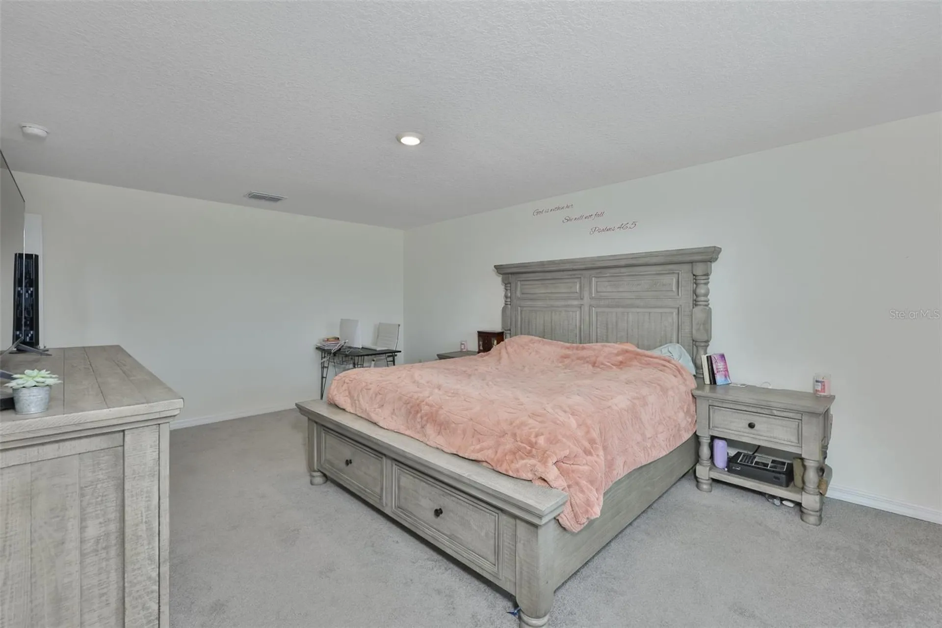 5244 Fiddle Fig Avenue Wimauma FL 33598