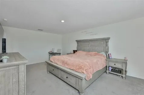 5244 Fiddle Fig Avenue Wimauma FL 33598