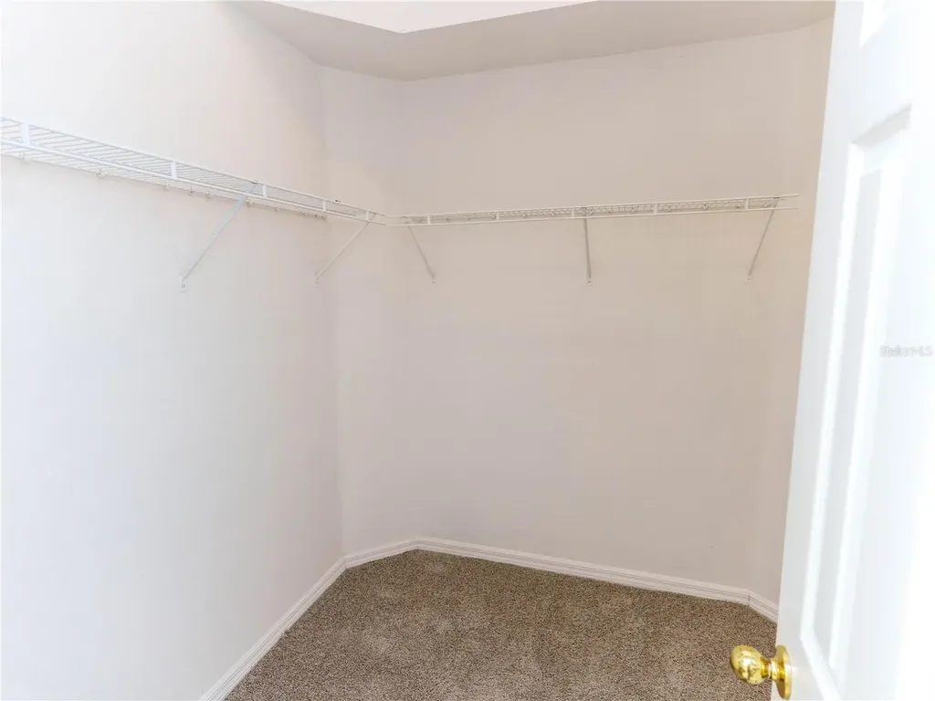 18915 Nest Fern Circle Tampa FL 33647