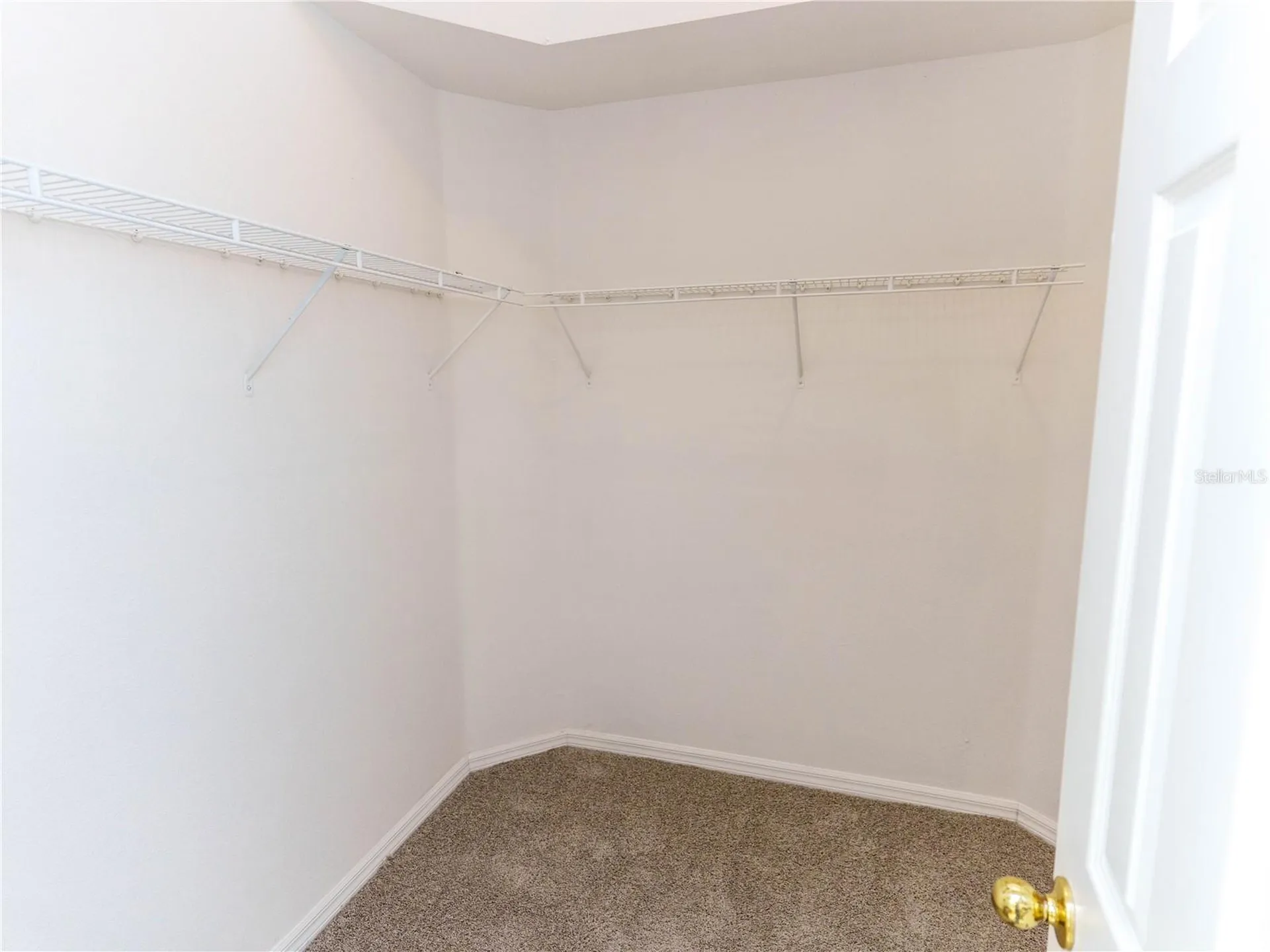 18915 Nest Fern Circle Tampa FL 33647
