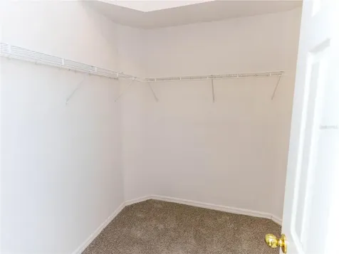 18915 Nest Fern Circle Tampa FL 33647
