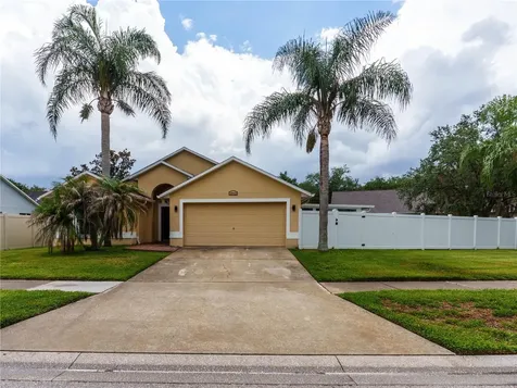 18915 Nest Fern Circle Tampa FL 33647