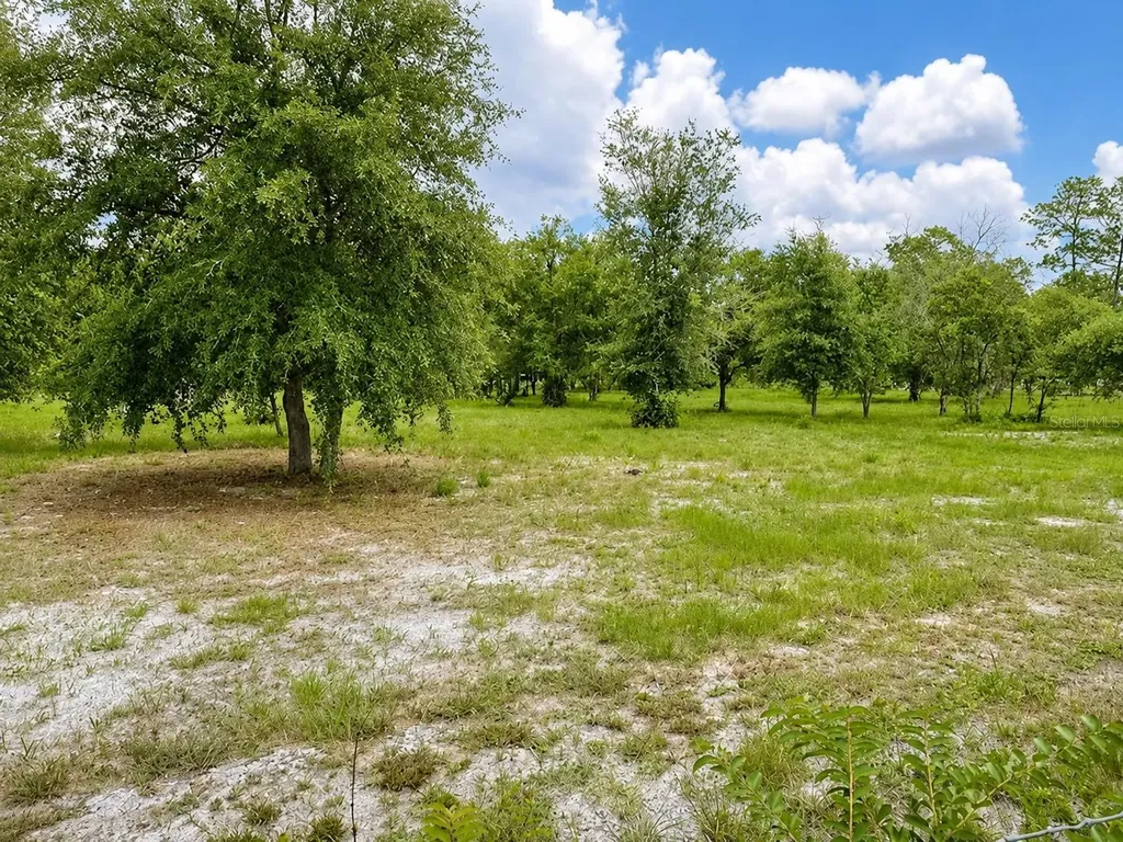 15355 SW 85 Avenue Dunnellon FL 34432