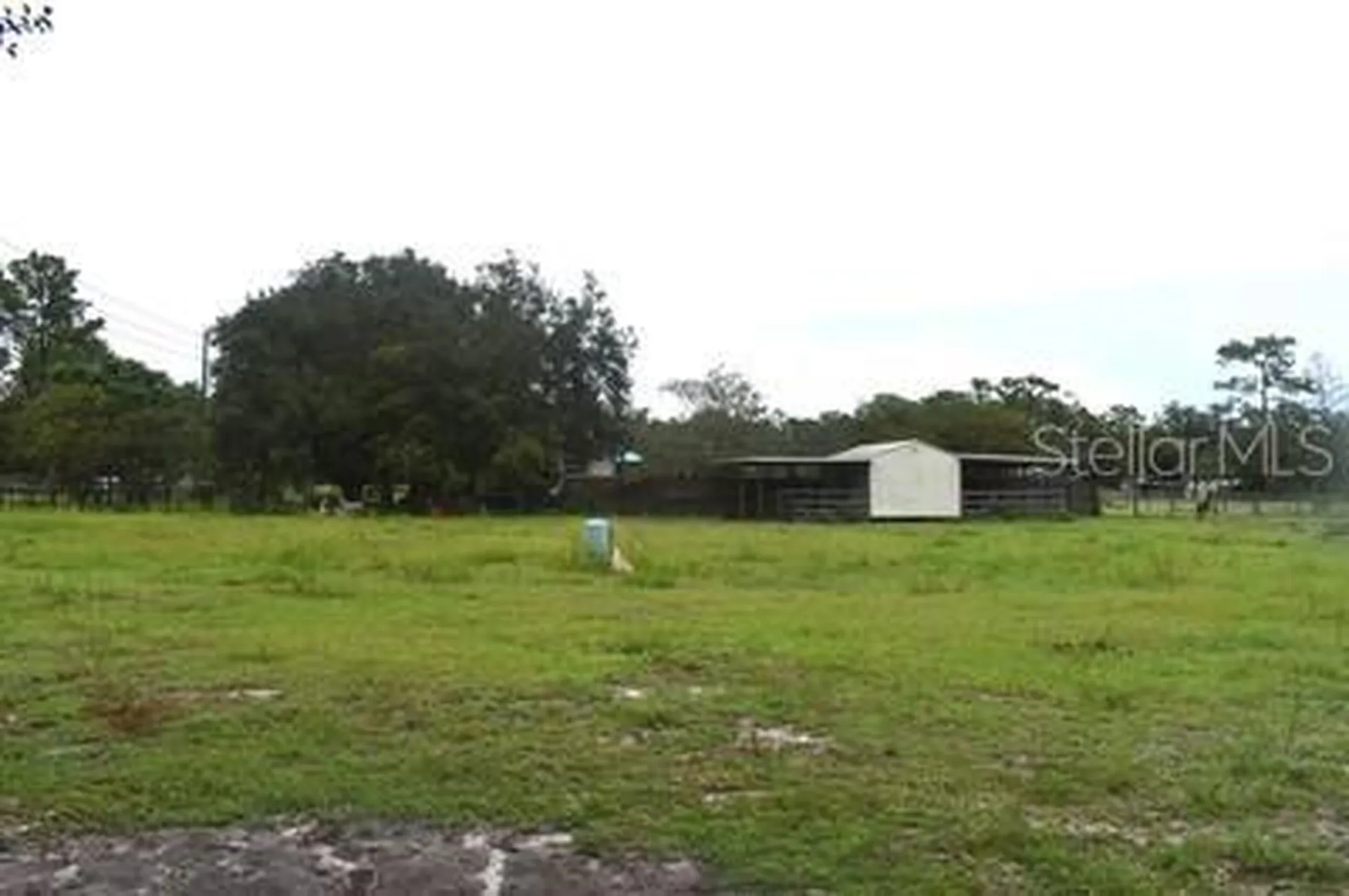 15355 SW 85 Avenue Dunnellon FL 34432