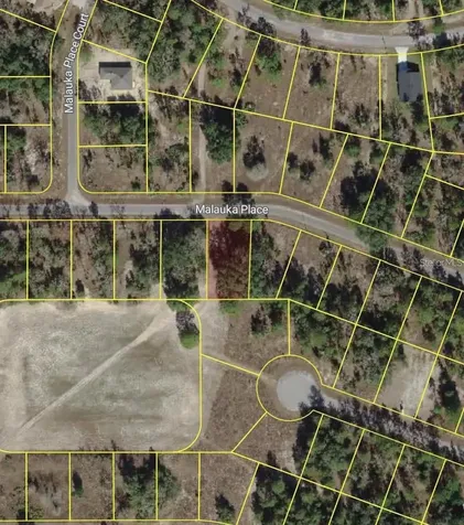 Malauka Place Ocklawaha FL 32179