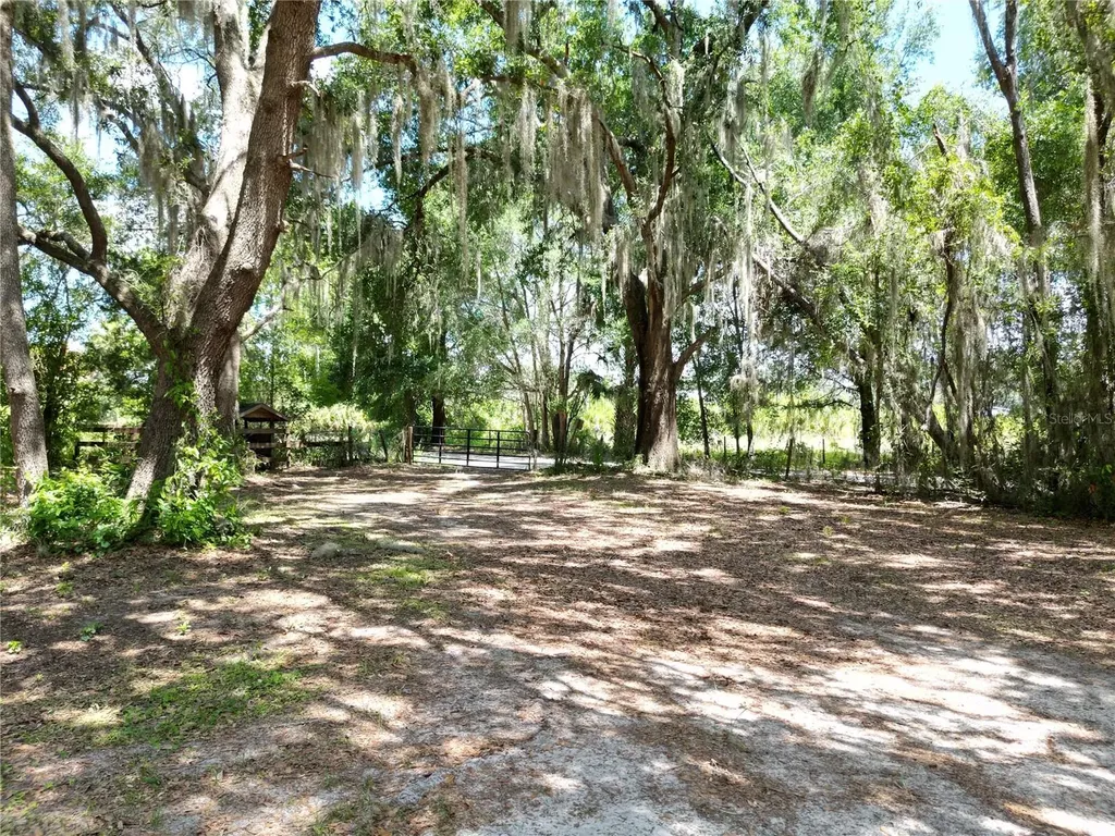 10645 SE 145th Street Summerfield FL 34491