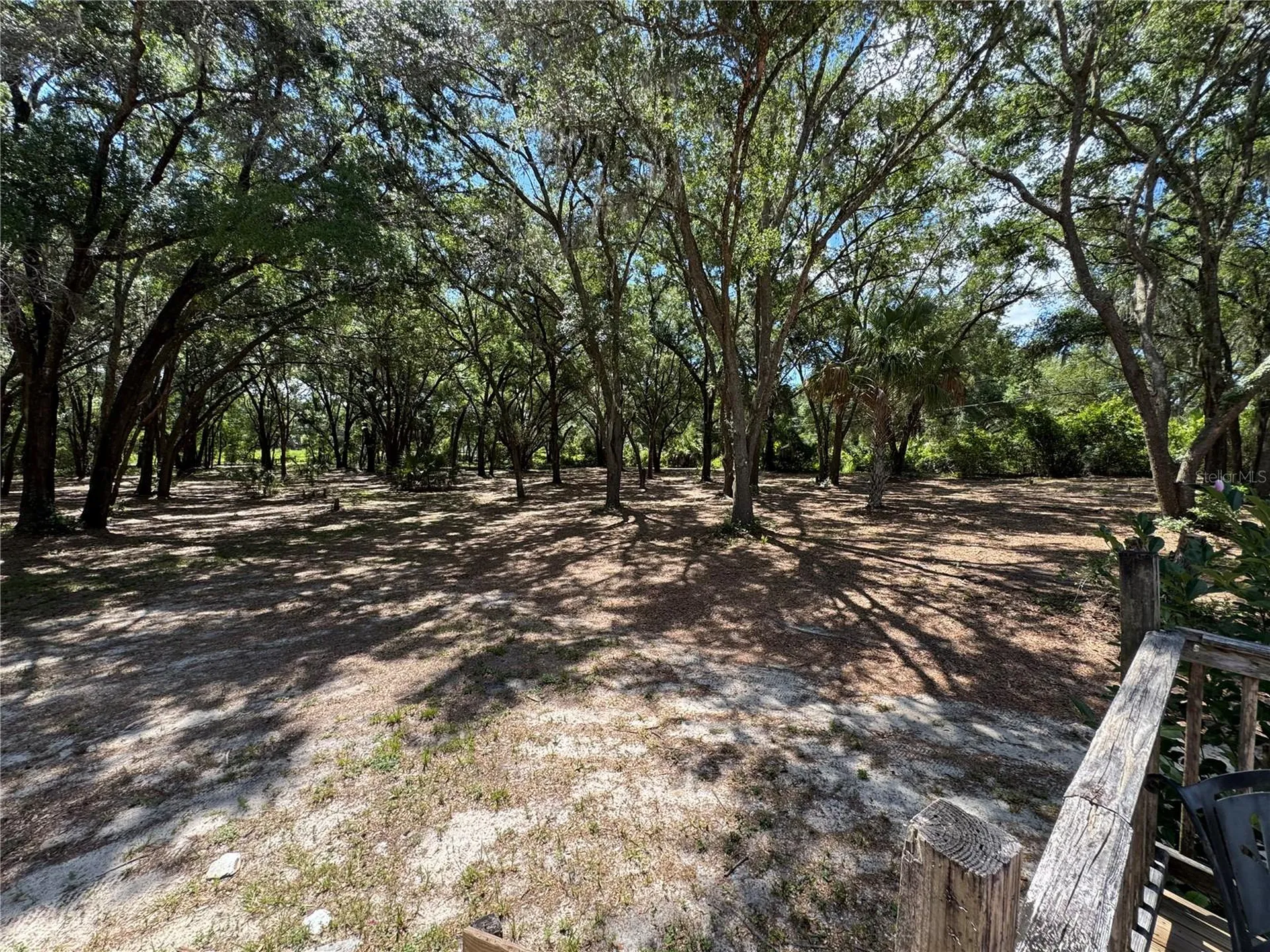 10645 SE 145th Street Summerfield FL 34491