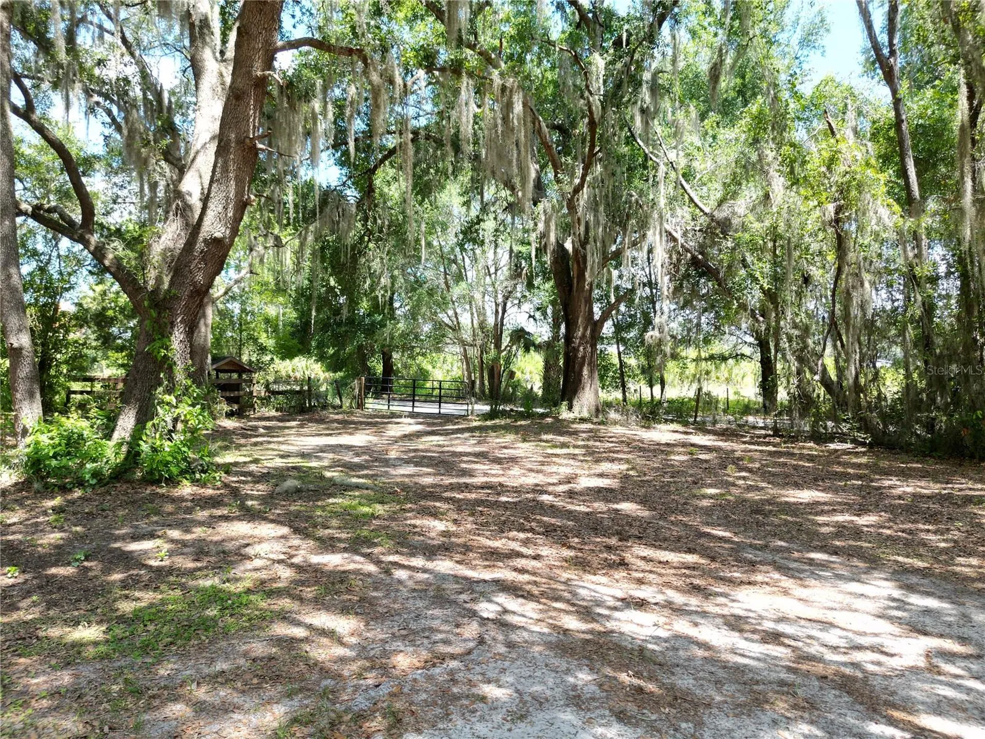 10645 SE 145th Street Summerfield FL 34491