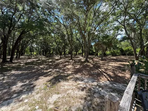 10645 SE 145th Street Summerfield FL 34491