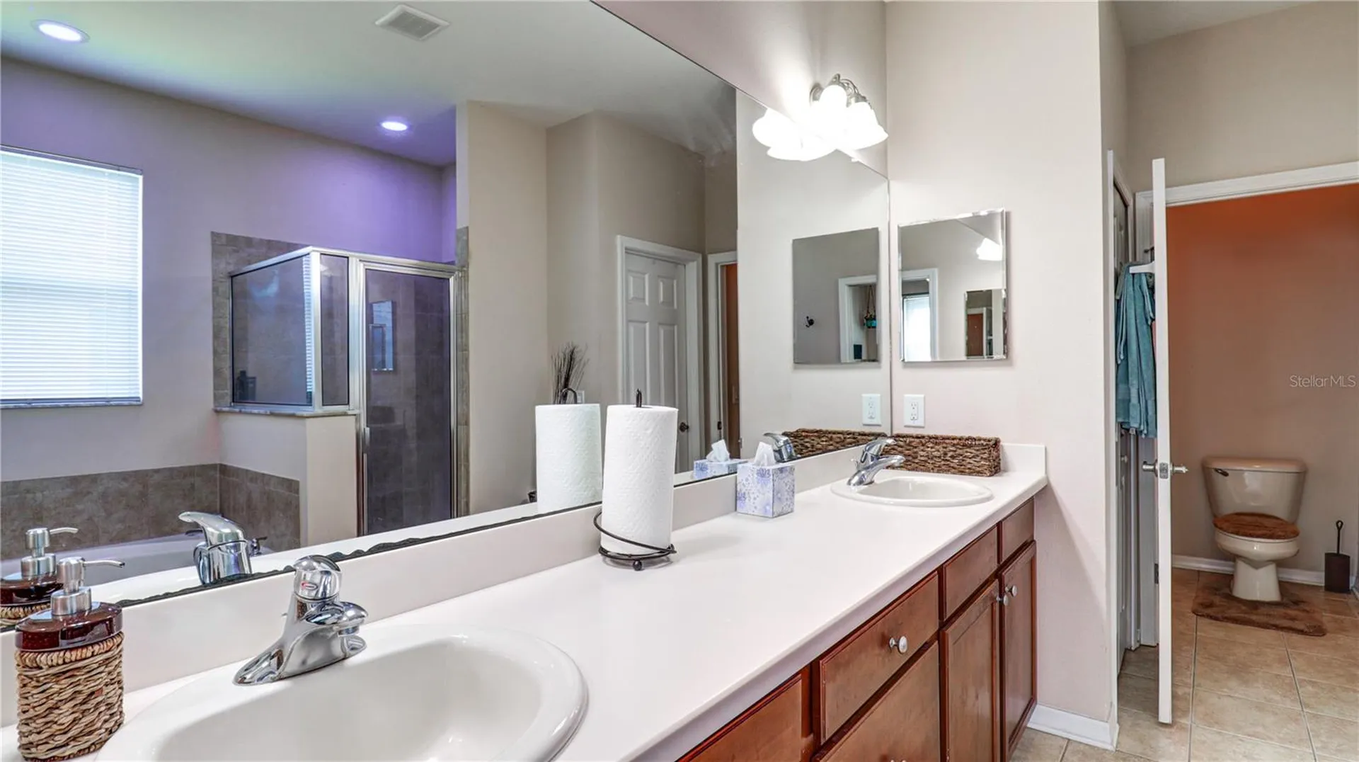 13659 Artesa Bell Drive Riverview FL 33579