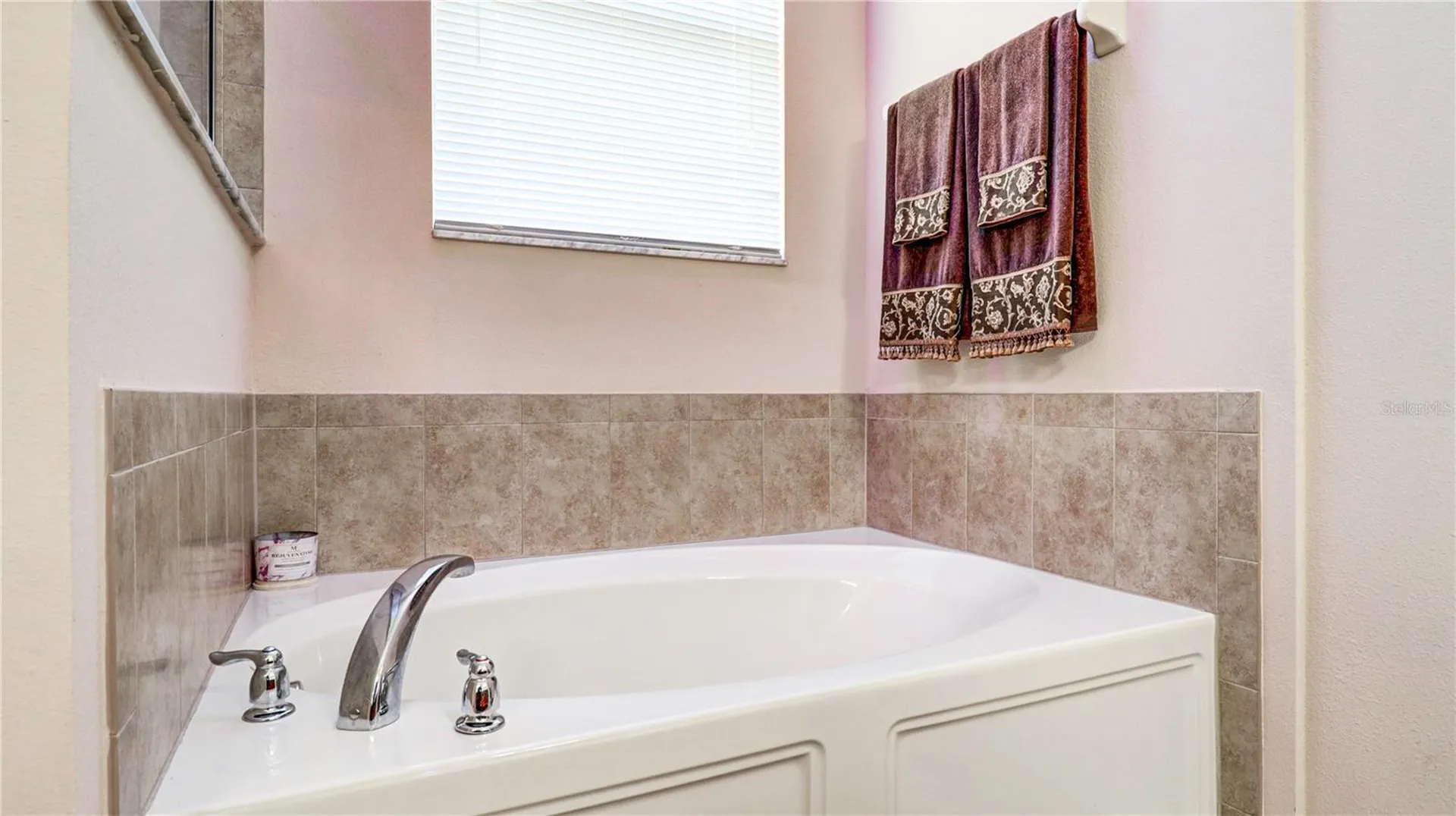 13659 Artesa Bell Drive Riverview FL 33579