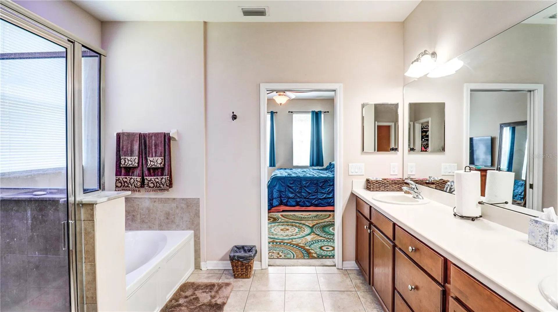13659 Artesa Bell Drive Riverview FL 33579