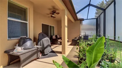13659 Artesa Bell Drive Riverview FL 33579