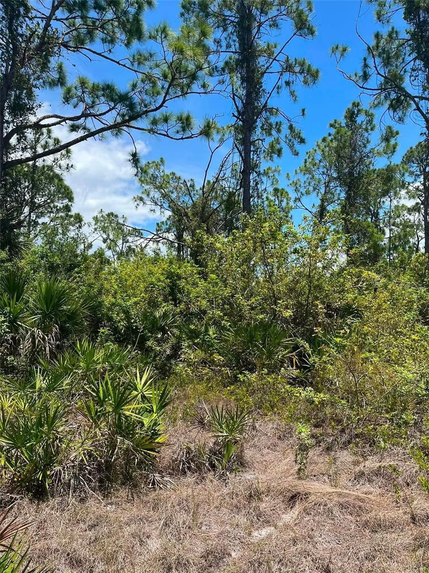 8448 Matecumbe Road Port Charlotte FL 33981