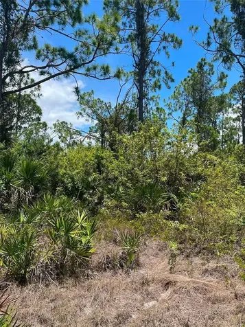 8448 Matecumbe Road Port Charlotte FL 33981