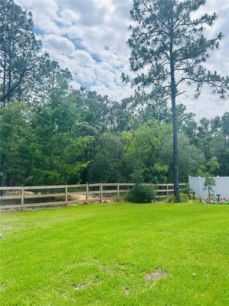 8848 N Paradisea Drive Citrus Springs FL 34433