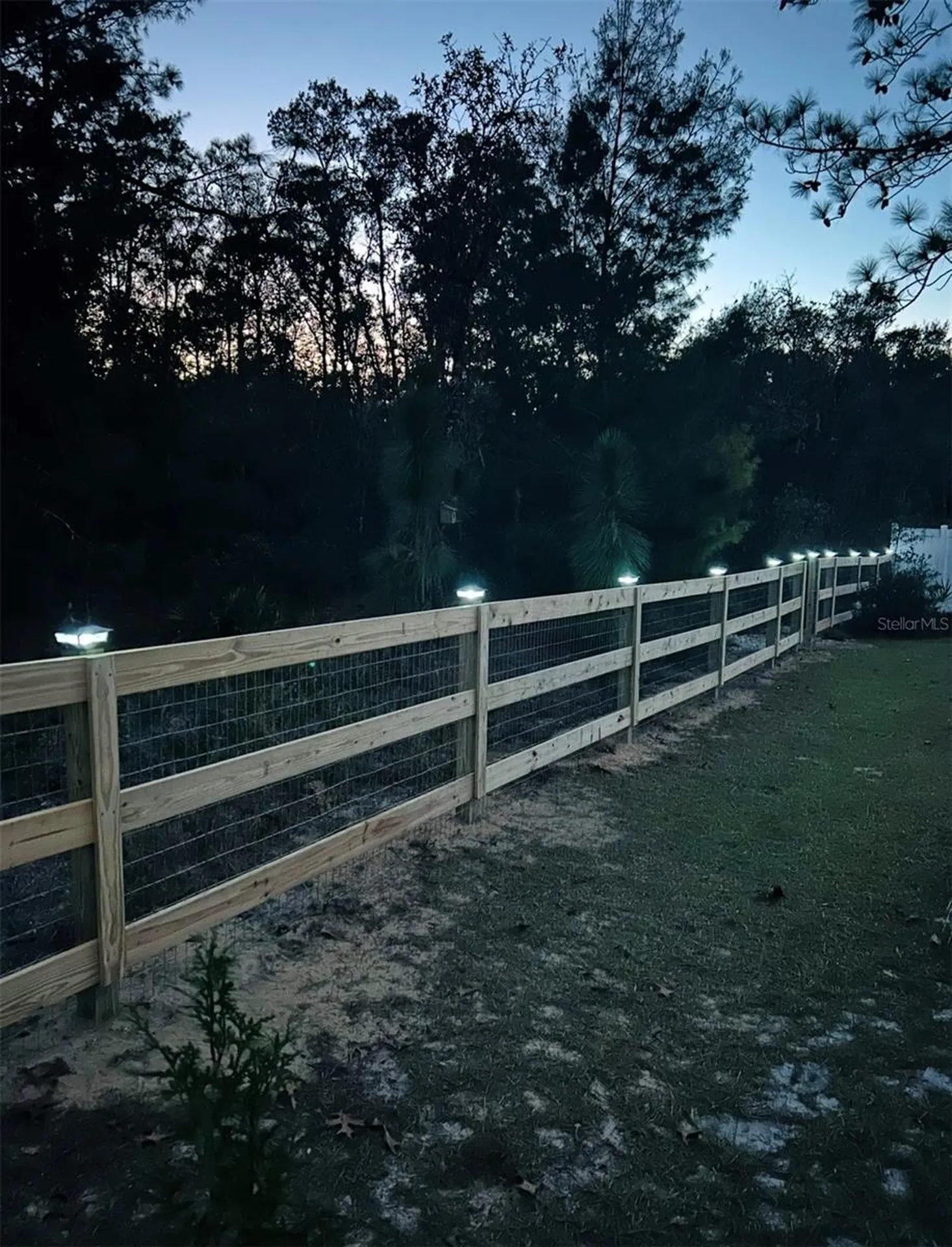 8848 N Paradisea Drive Citrus Springs FL 34433