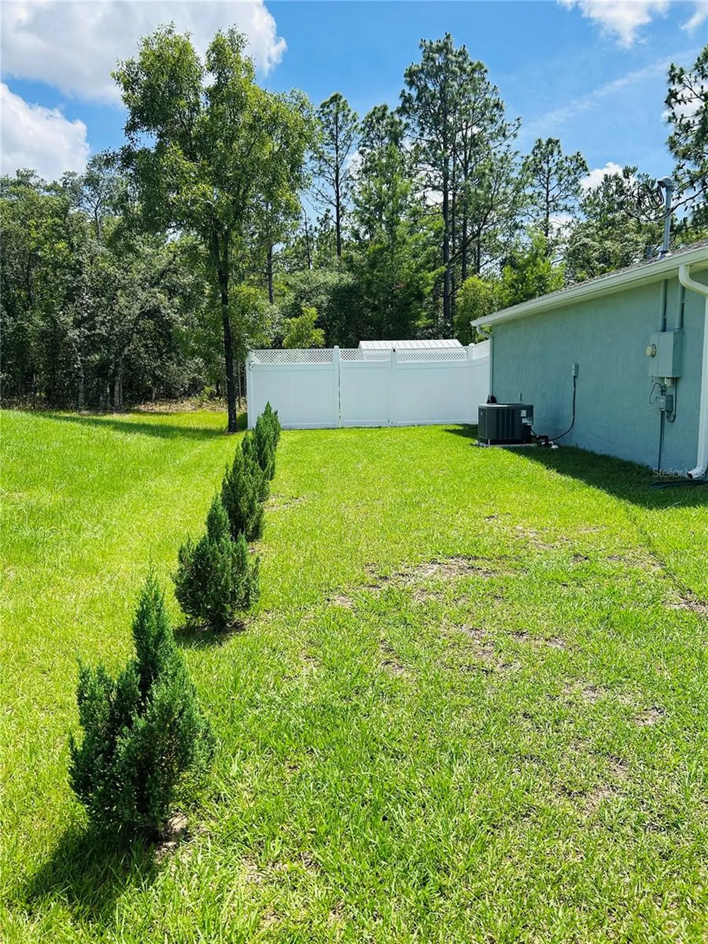 8848 N Paradisea Drive Citrus Springs FL 34433