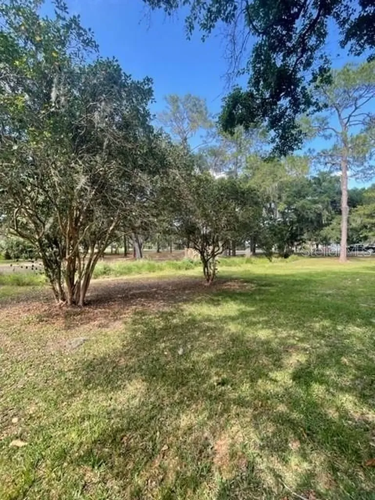 4509 Turkey Creek Road Plant City FL 33567