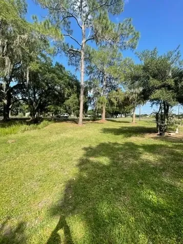 4509 Turkey Creek Road Plant City FL 33567