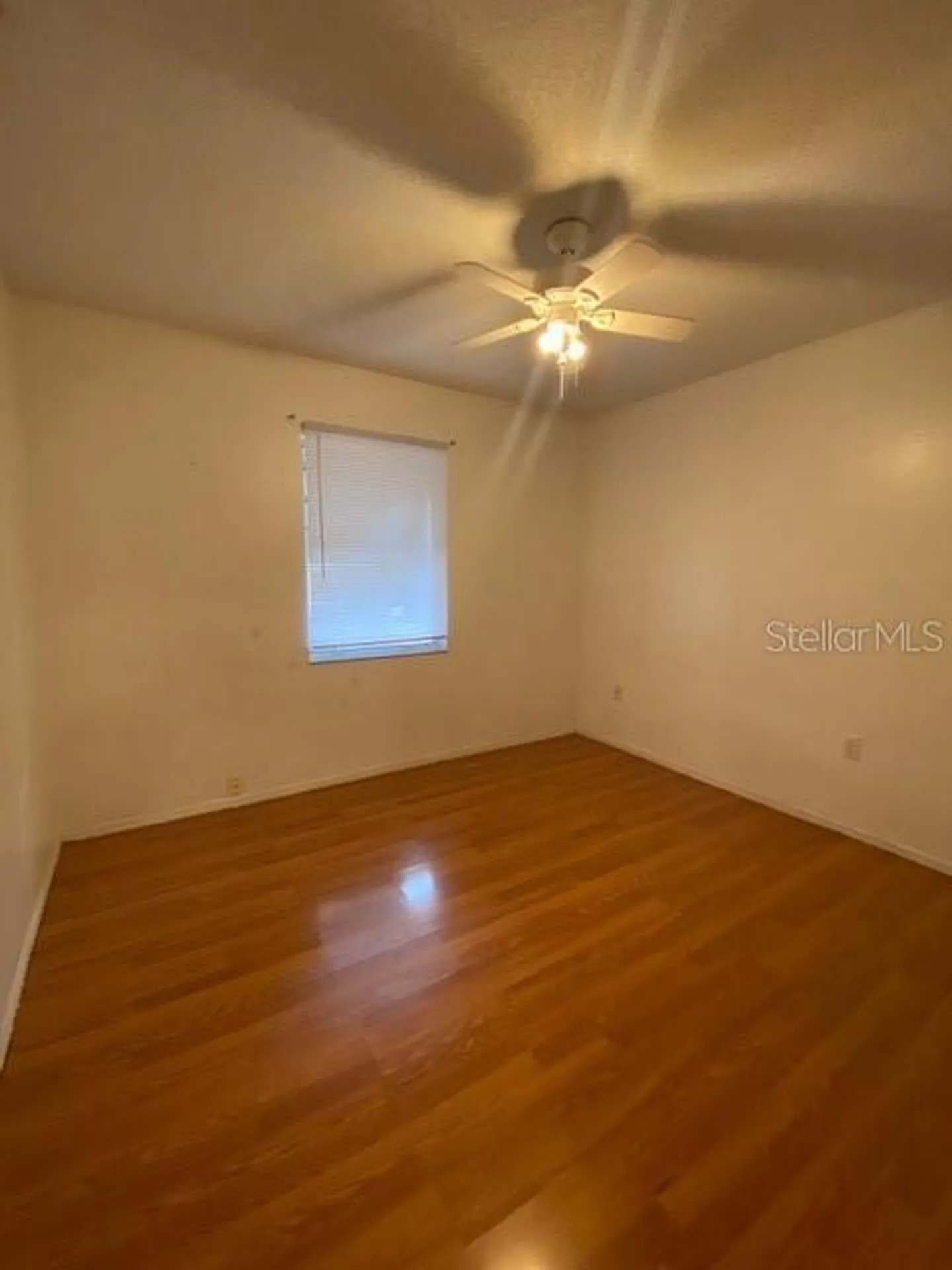 3938 Creek Woods Drive Plant City FL 33563