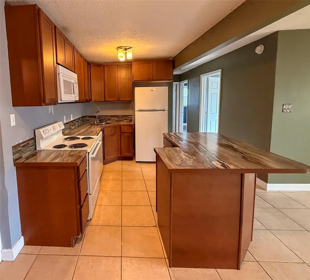 880 Emerald Drive Mount Dora FL 32757