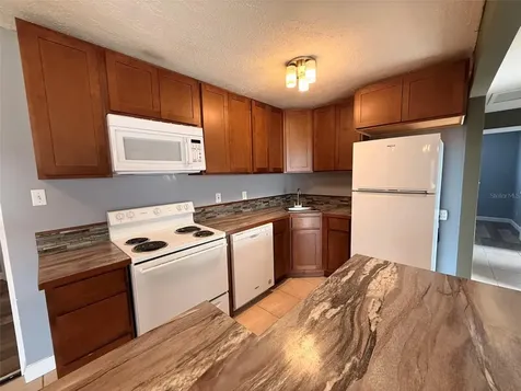 880 Emerald Drive Mount Dora FL 32757