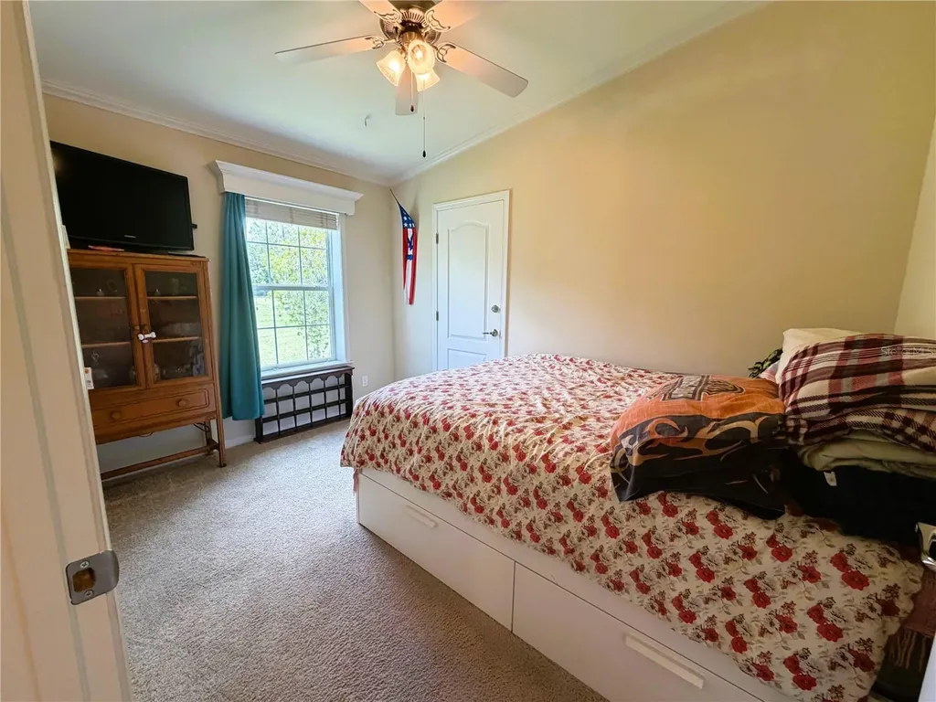 165 Sago Palm Drive Leesburg FL 34748