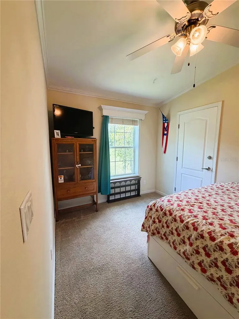 165 Sago Palm Drive Leesburg FL 34748