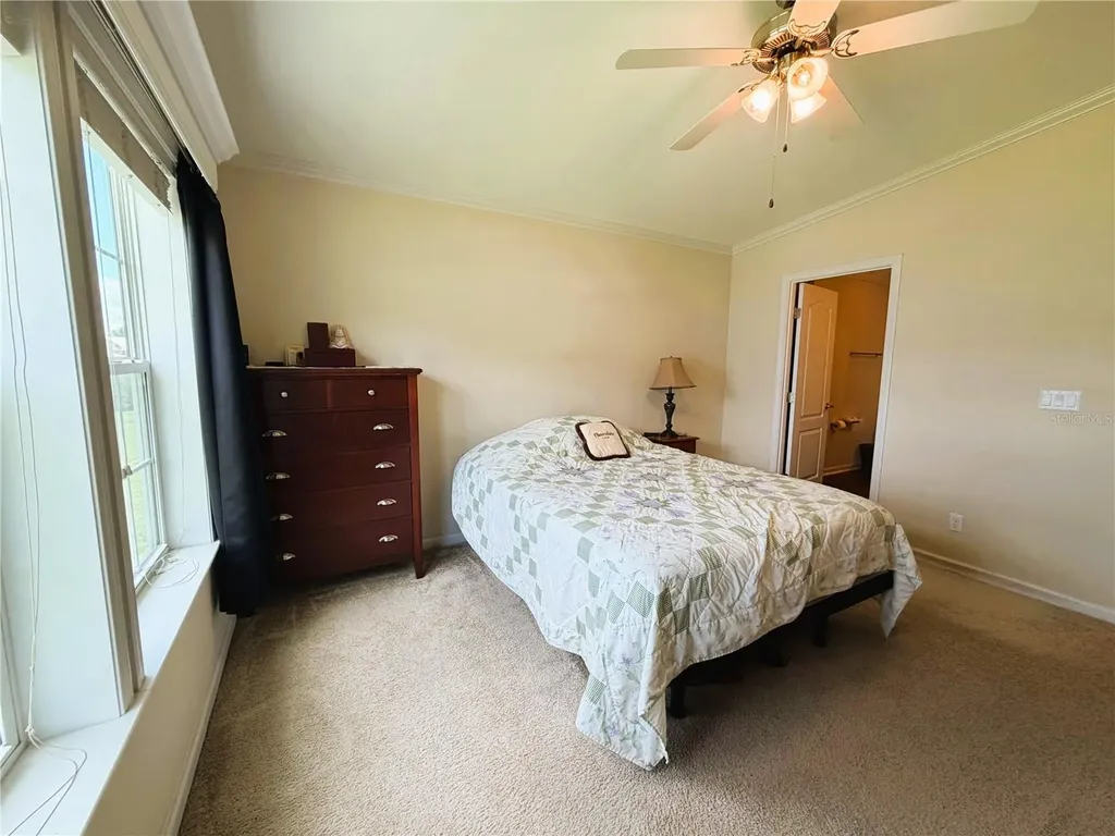 165 Sago Palm Drive Leesburg FL 34748