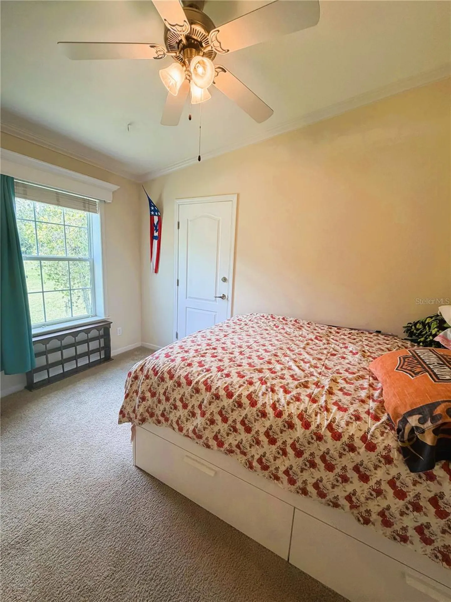165 Sago Palm Drive Leesburg FL 34748