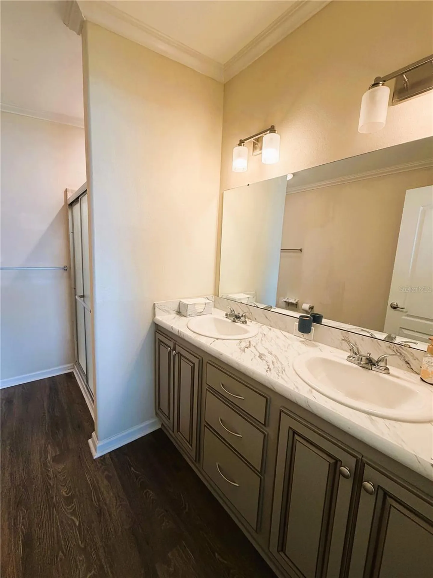 165 Sago Palm Drive Leesburg FL 34748