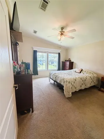 165 Sago Palm Drive Leesburg FL 34748