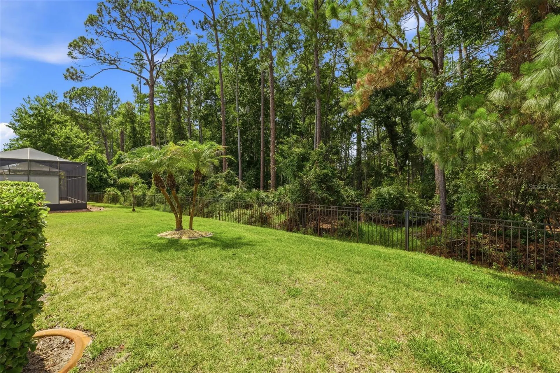 11501 Bloomington Court New Port Richey FL 34654
