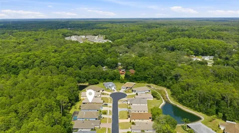 11501 Bloomington Court New Port Richey FL 34654
