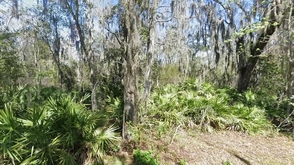 Riverwood Drive Fleming Island FL 32003