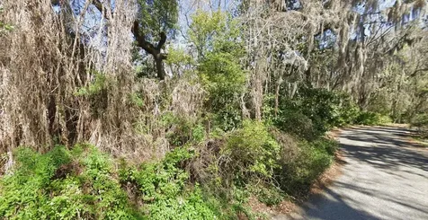 Riverwood Drive Fleming Island FL 32003