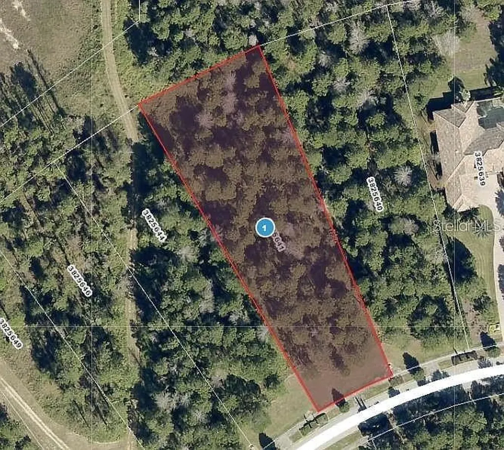 16036 Pendio Drive Bella Collina FL 34756