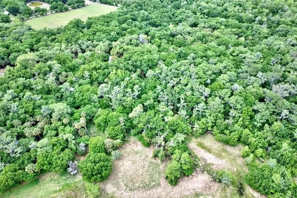 2500 Arbuckle Shores Road Frostproof FL 33843