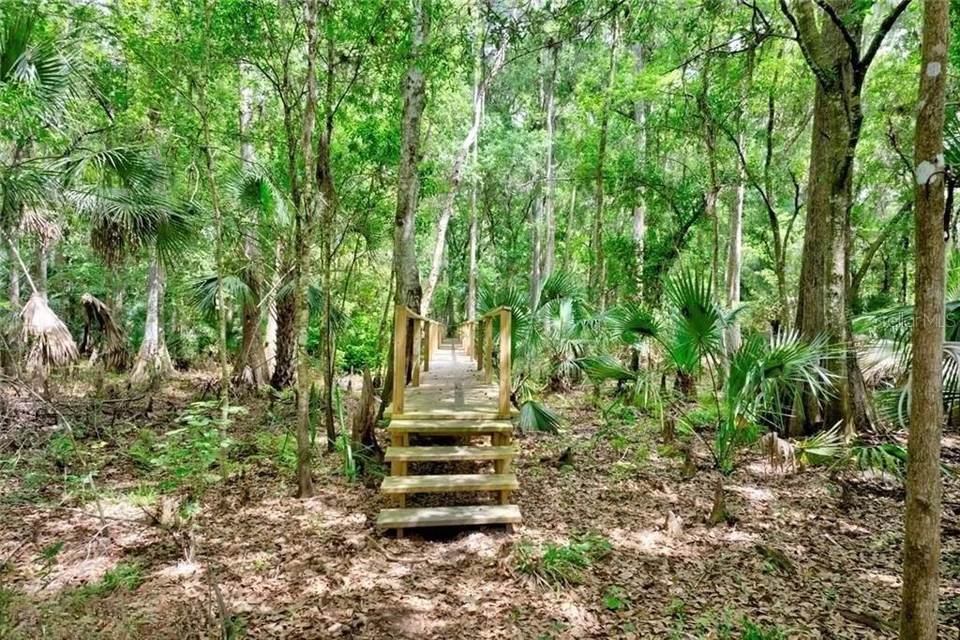 2500 Arbuckle Shores Road Frostproof FL 33843
